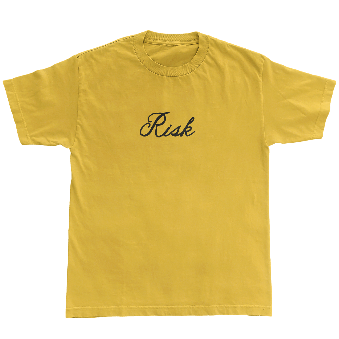 Gracie Abrams Risk  T-Shirt 357759