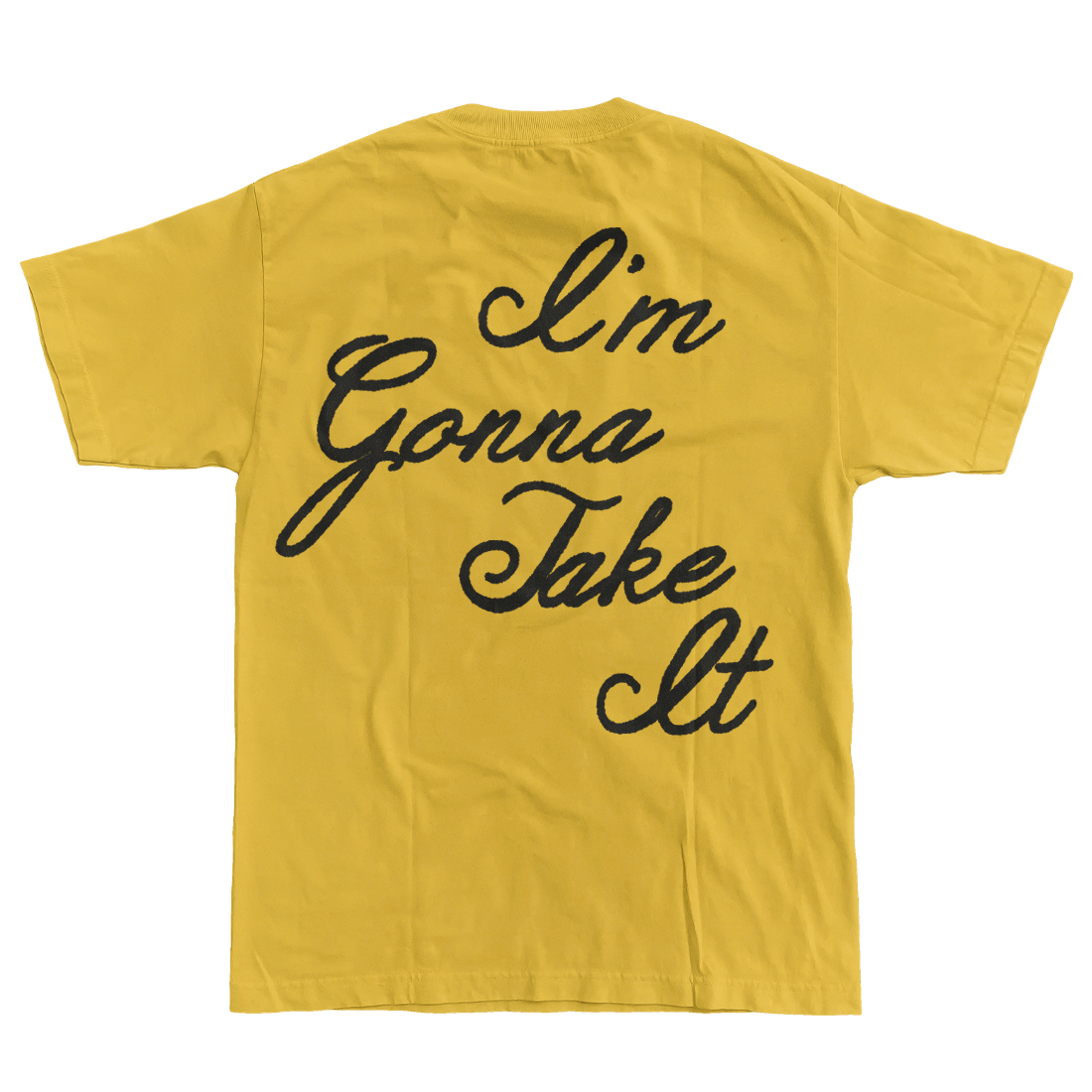 Gracie Abrams Risk  T-Shirt 357763